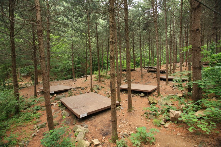 산음자연휴양림 숲속 데크 사진입니다.