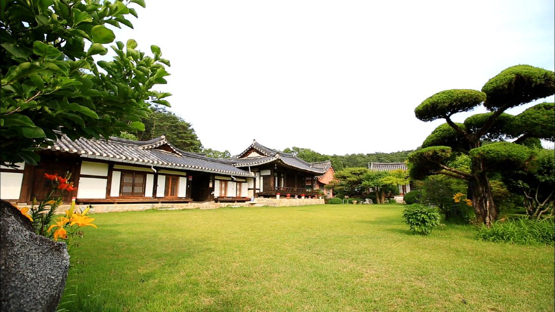 공유마당(CC BY 4.0) — 저작자 한국교육방송공사(EBS) · 색 보정해 실음 한옥 고택 앞 넓은 잔디마당에 소나무와 백합 꽃이 어우러진 정원입니다.